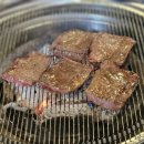 쌍둥이네집