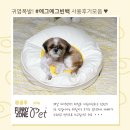 [제품후기] 퍼니존펫 에그에그빈백 강아지방석 펫빈백 애견빈백