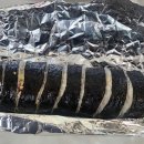산분식