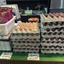 천지연스파월드 이미지