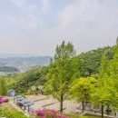 샘물카페 | 포천 아트밸리 모노레일 이용 후기 천주호 풍경 카페 둘러보기