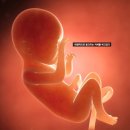 대흥헬스 이미지