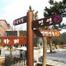 발리동천 이미지