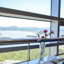 진도여라 이미지