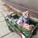 소올피아노 네이버블로그