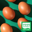 [상품 후기] 청라상회 무항생제 구운계란 60구