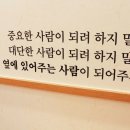 강남랜드 이미지