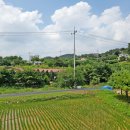 고려농원 이미지