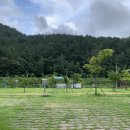 생림오토캠핑장 이미지