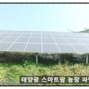 (주)티에스팜 이미지