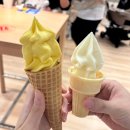 아이스크림소프트 | 이케아 기흥점 망고 와플콘, 소프트 아이스크림 후기, 가격, 구매 방법
