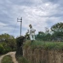 장재농장 이미지