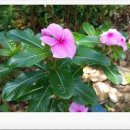 해영농장 이미지