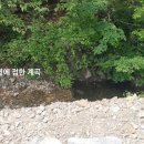 대명오토 Daum카페