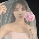 라인비