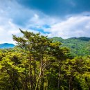 박달재전통시장 이미지