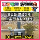 만물 | 인천시 서구 천주교 마전동묘원 2기/ 20평 벌초 작업후기 -만물박사홈케어