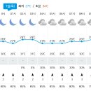 2024년 7월 31일 박상준의 날씨 관찰..(낮보다 밤이 되니 더 후덥지근해지네..?) 이미지