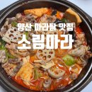 양산 마라탕맛집 | 소림마라 양산점, 배달로 먹은 후기
