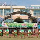 일로초등학교 이미지