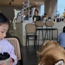 이서노래연습장 이미지