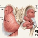 하이퍼런