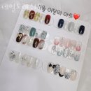 네일도래쉬도