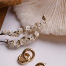 로틸리아 이미지