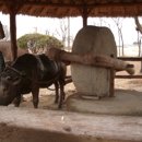 연자방아 이미지