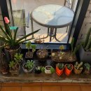 블랑제리 라팡 이미지