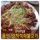 양  지 이미지