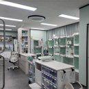 24시 블루밍 동물병원 이미지