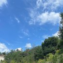 신사동 산93-1 이미지