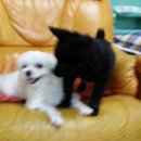 인선농장 이미지