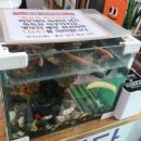 춘양골남원추어탕 이미지