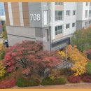 더좋은집공인중개사사무소 이미지