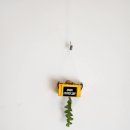 노아커피 이미지