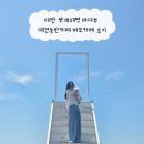 카페바다야 | 태안 밧개해변 바다뷰 애견동반카페 바보카페 후기