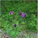 사래마을 이미지