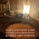 이차돌소하 네이버블로그