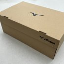 Q-1 | 미즈노 모렐리아 살라 엘리트 TF 풋살화(Q1GB261250) 착용 후기