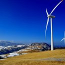 정기목장 이미지