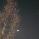 용산시가프라자
