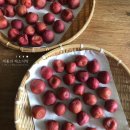 숙명여자대학교 문화예술대학원 | [공지] 여름(夏) : 우메보시