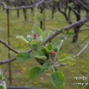 봉우농장 이미지