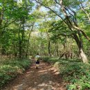 용바위농장 이미지