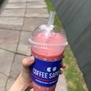 커피사피엔스DMC에코