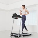 JJ피트니스 이미지