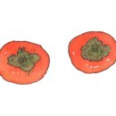 덕동농장 이미지