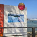 진월초등학교 이미지